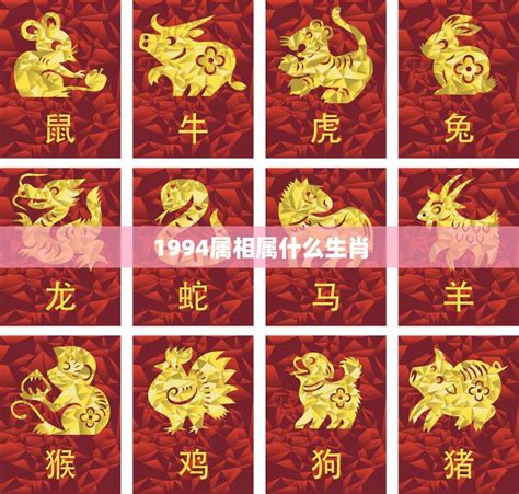 生肖 1994|1994年属什么生肖